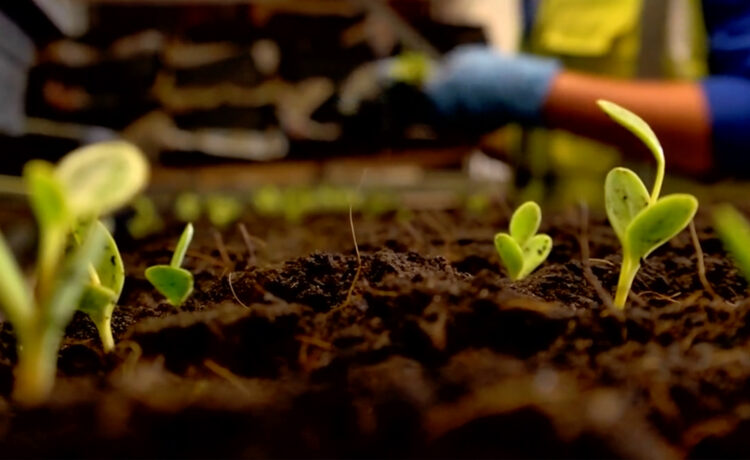 PH Headfords Nursery