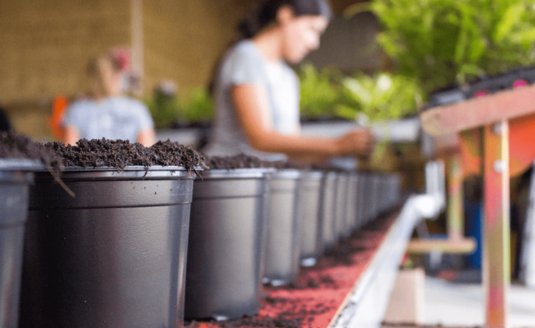 Growing smarter for 20 years.￼