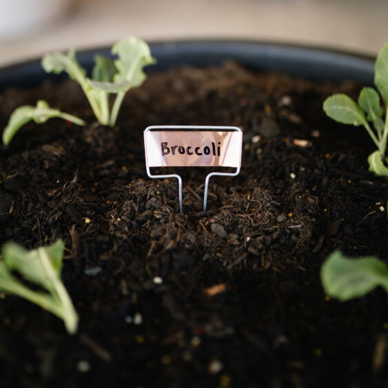 Copper Plant Labels Primehort Smarter Growing