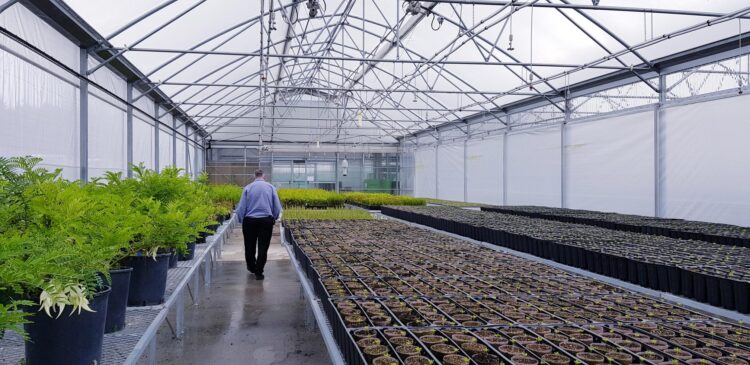 ‘One-stop-shop, nursery supplies’ that’s our business.