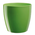 Rio 20 Acid Green 4L