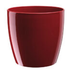 Rio 20 Red Lacquer 4L