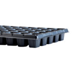 50 Cell Shallow Seedling Tray