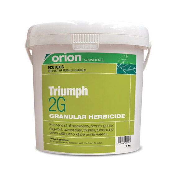 Triumph 2G