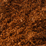 Coir Fibre
