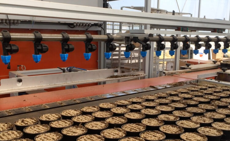 Da Ros Buffer Belt for Pots and Trays