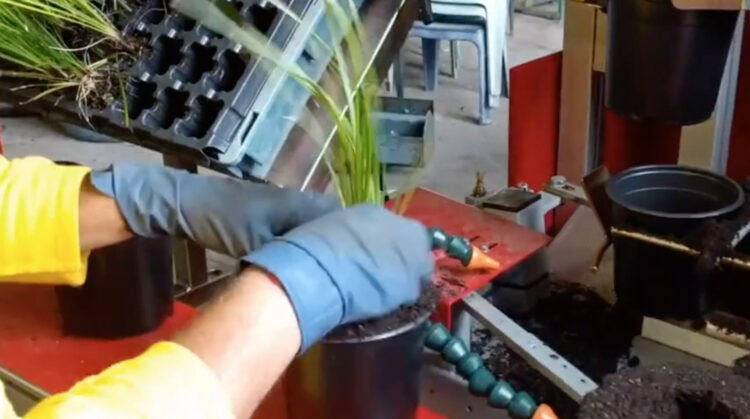 Kings Potting Machine