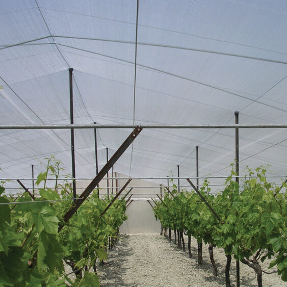 Multiclima Frost Protection