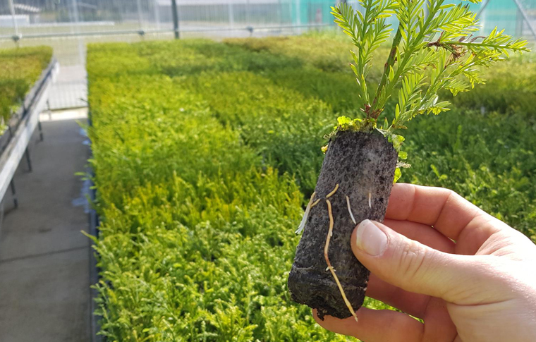 One-stop-shop that’s our business_1