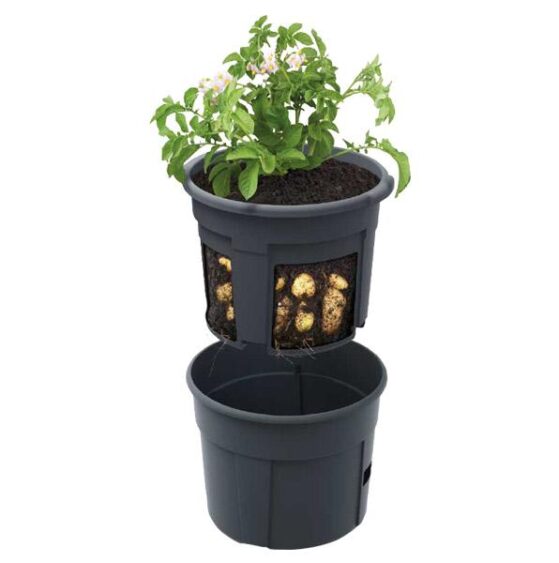 Potato Planter Black