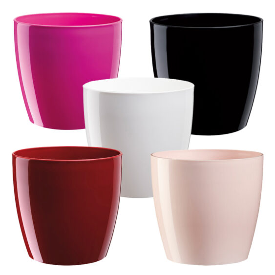 Rio Coloured Cover Pot