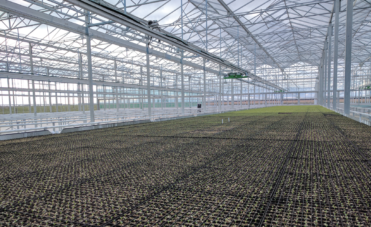 Screen Shot 2022-02-22 at 9.11.00 PM