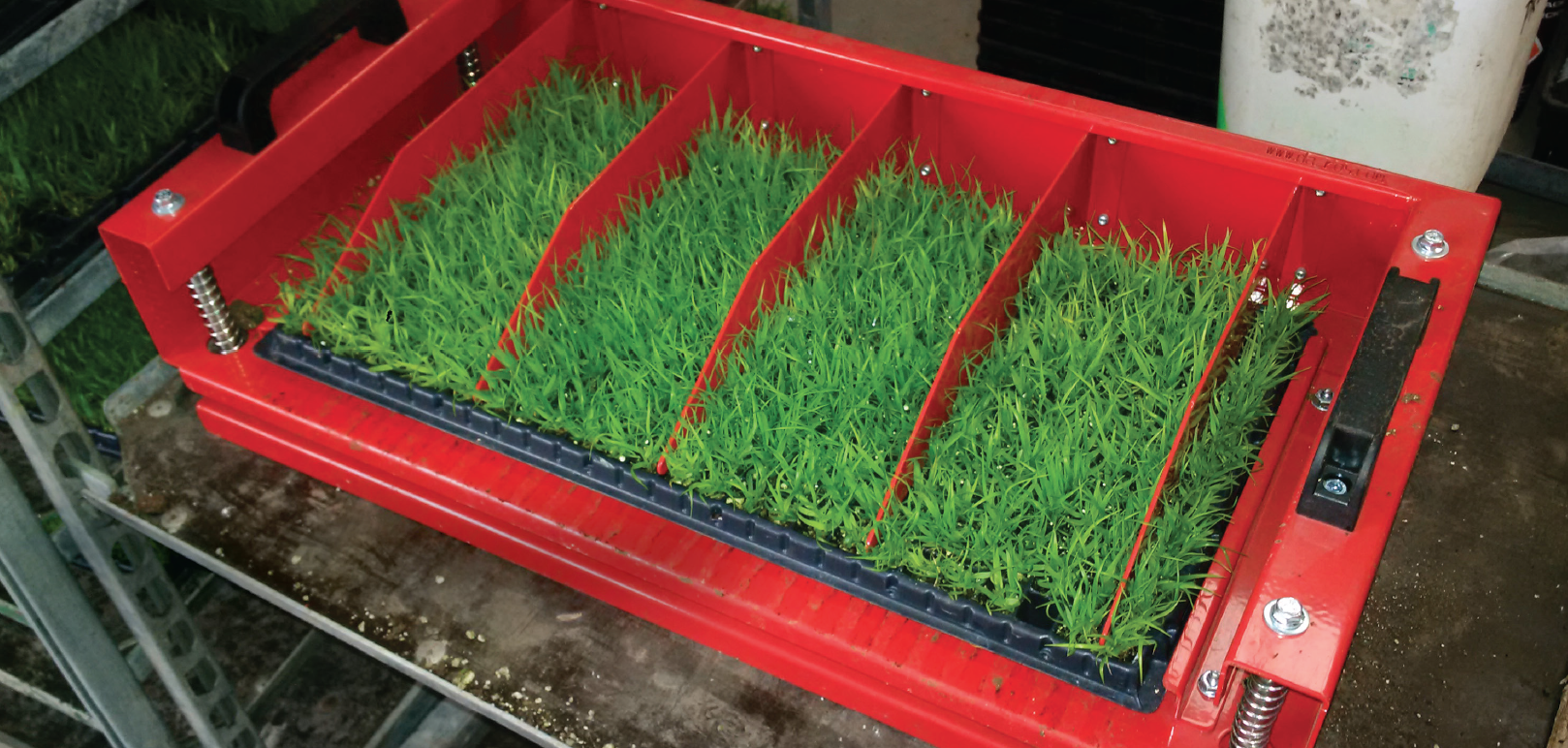 Screen Shot 2022-02-22 at 9.12.33 PM