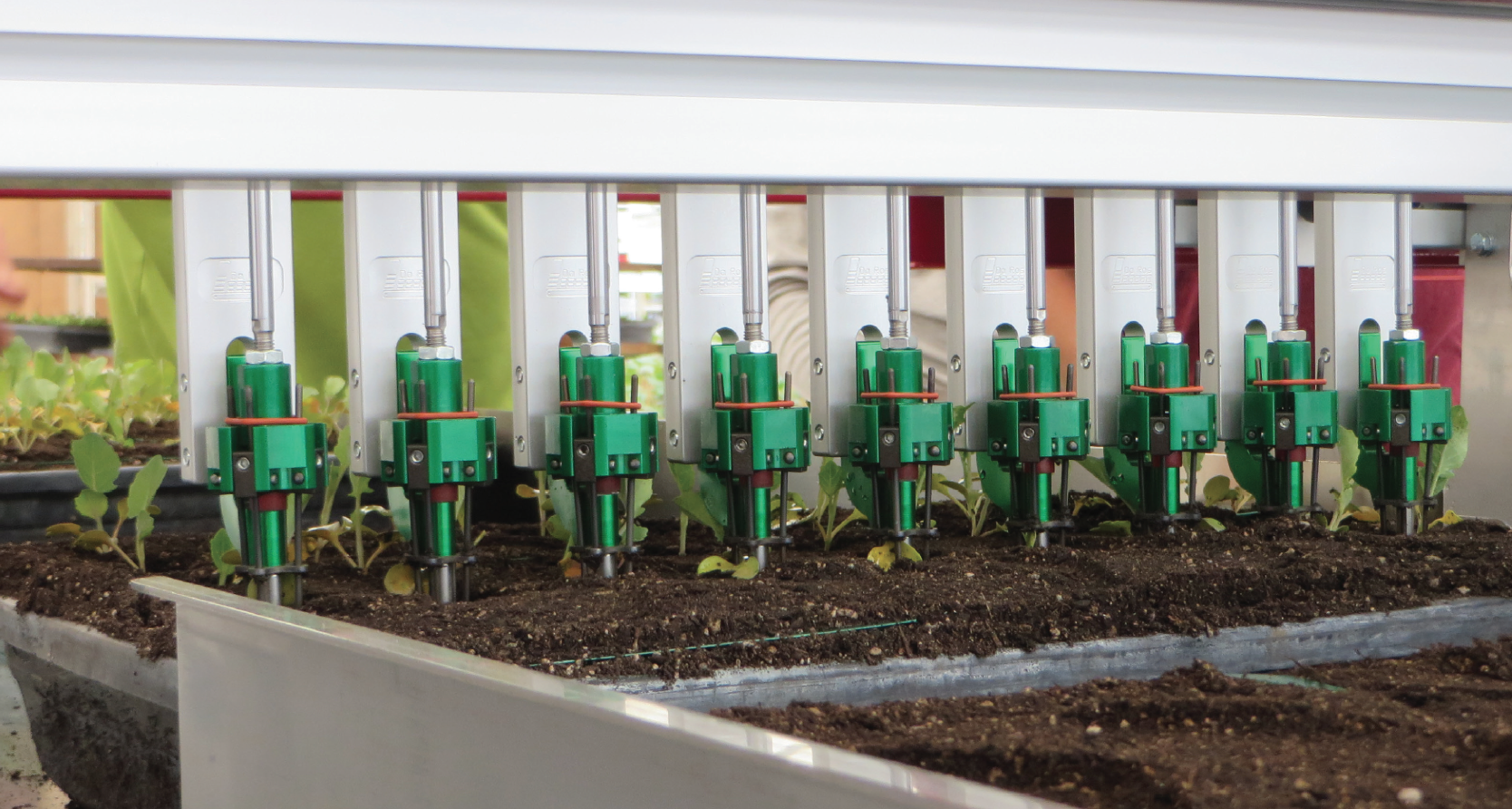 Screen Shot 2022-02-22 at 9.13.18 PM