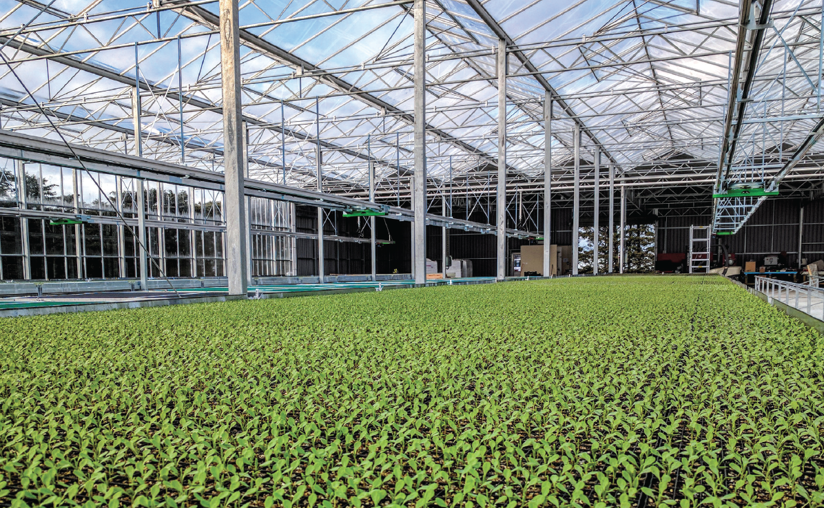 Screen Shot 2022-02-22 at 9.17.46 PM