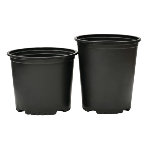 Thermoformed Pots