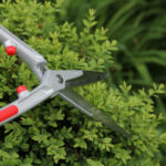 Pruning Tools
