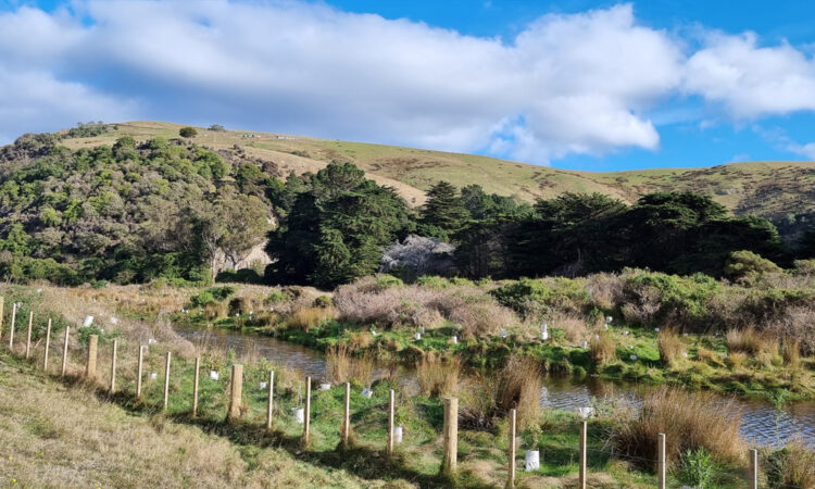 20220523_114601_to blog soze