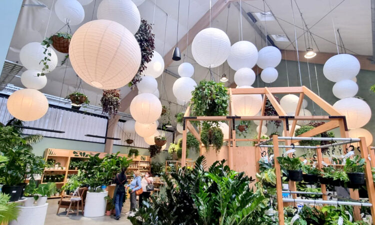 Kings Plant Barn Stonefields_Main Image