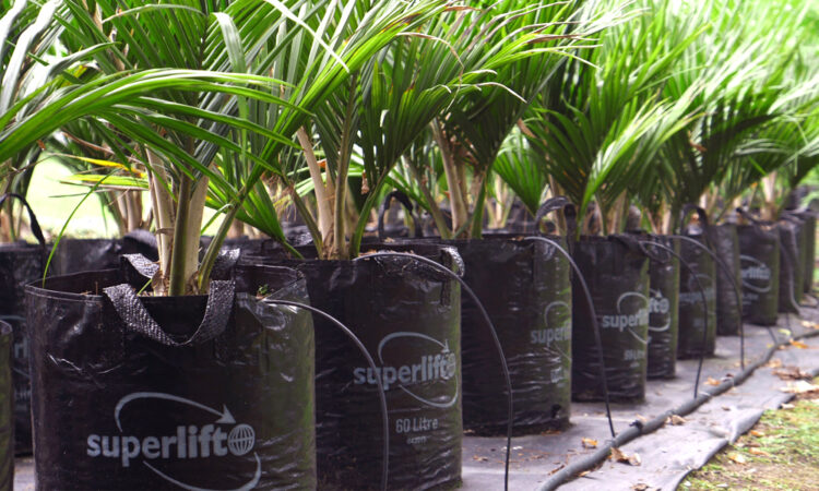 Super Lift Planter Bags_Main Image