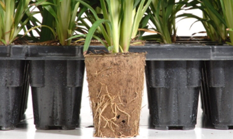 FertilPot_Main Image