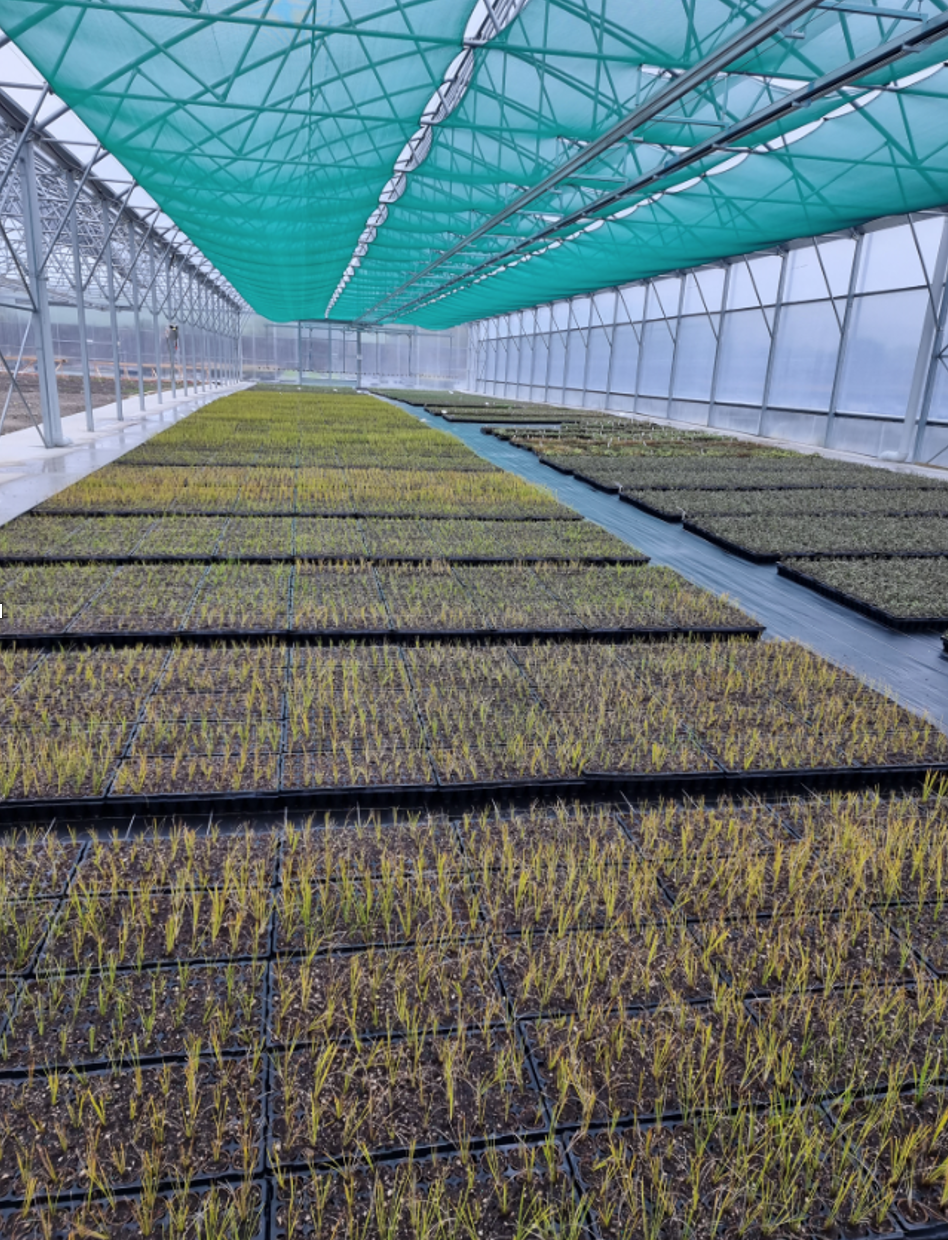 fertilpot_16