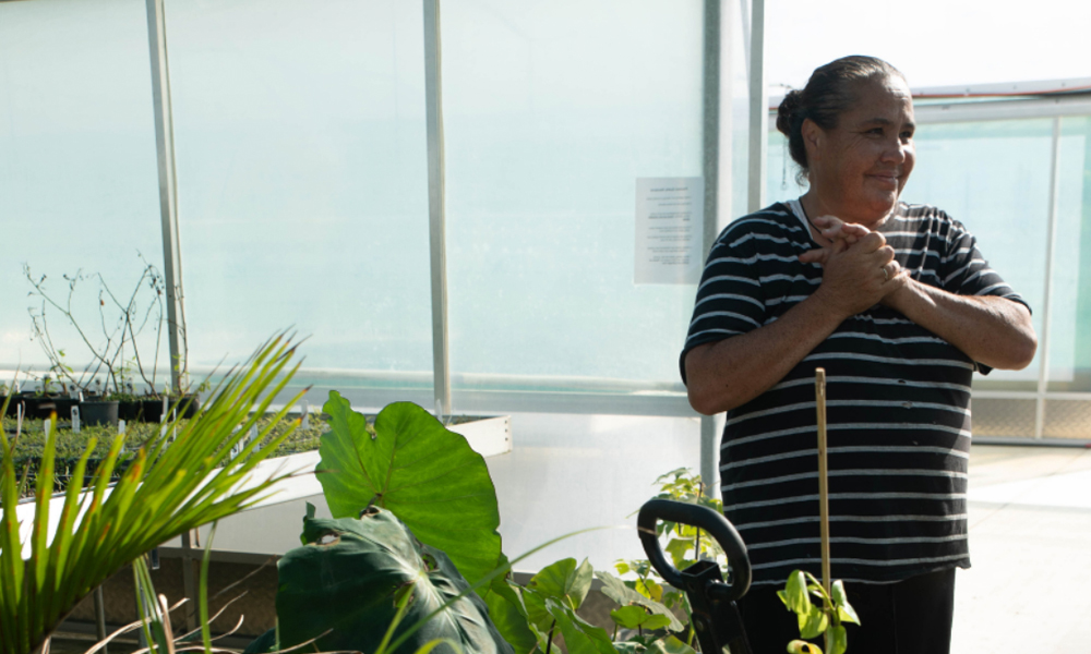 New Growth for Pourewa Nursery_2