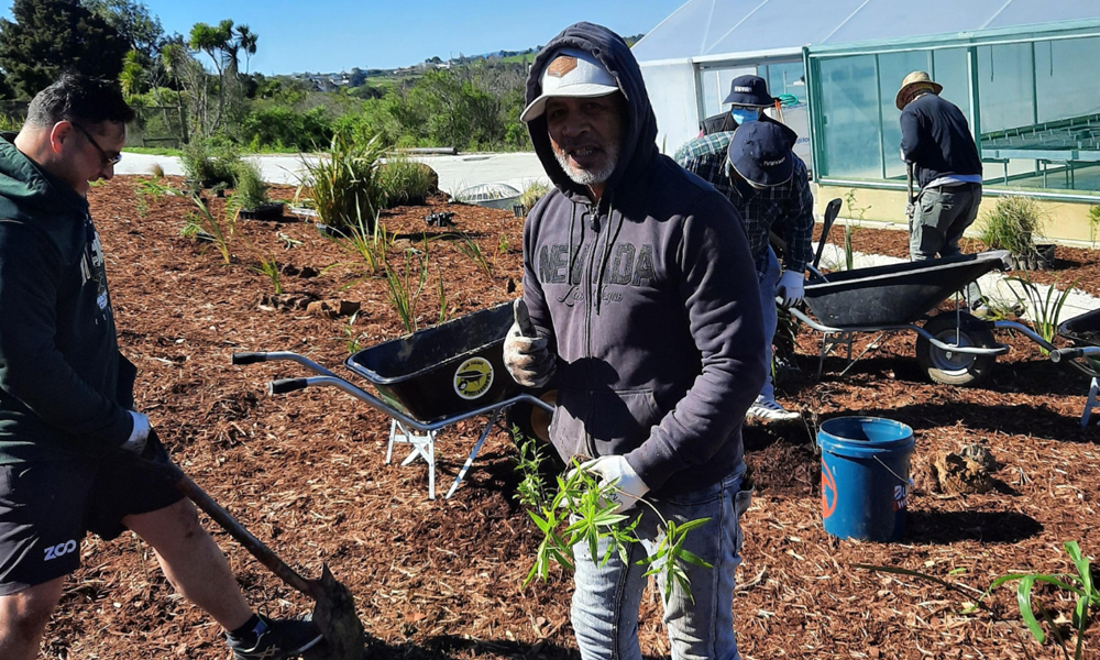 New Growth for Pourewa Nursery_5