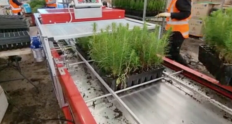 PH Plug Extractor Machine