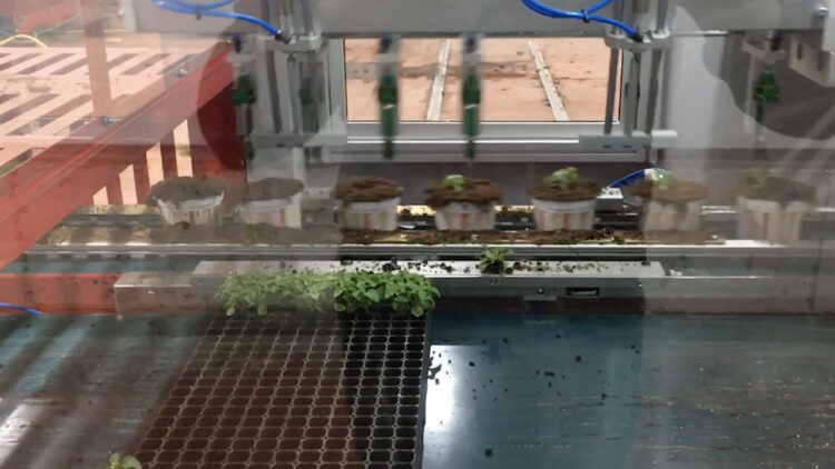 PH Web Thumb Da Ros I5 and Transplanter