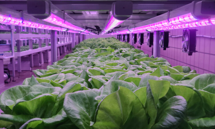 Vertical Farming_Main Image