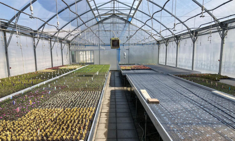 Heated Benches 1_Main Image