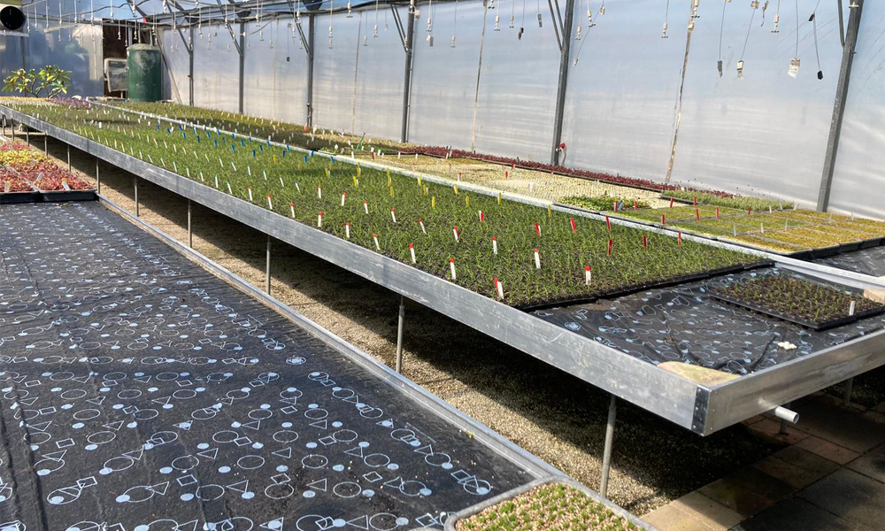 Heated Benches 2_Main Image