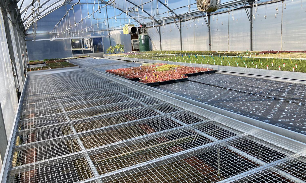 Heated Benches 3_Main Image