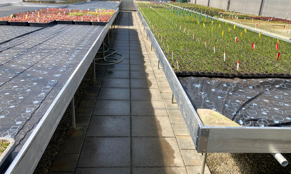 Heated Benches 4_Main Image