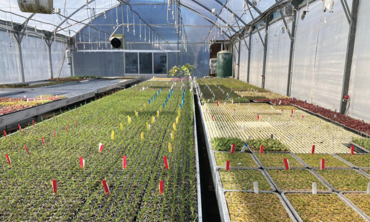 PrimeHort Greenhouses - go green at Fieldays!