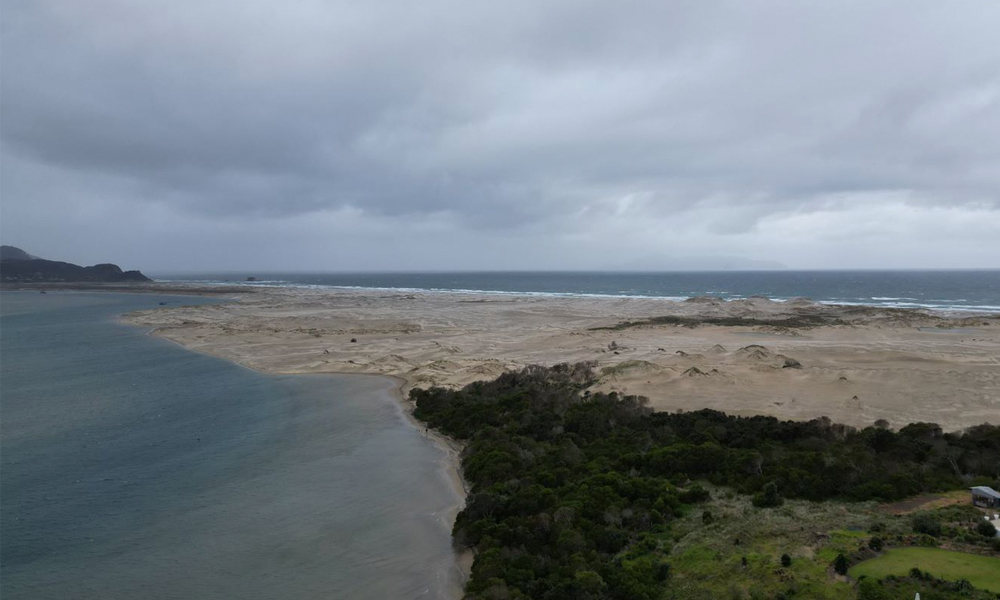 Mangawhai Planting Day_Main Image 3