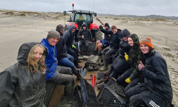 Mangawhai Planting Day_Main Image