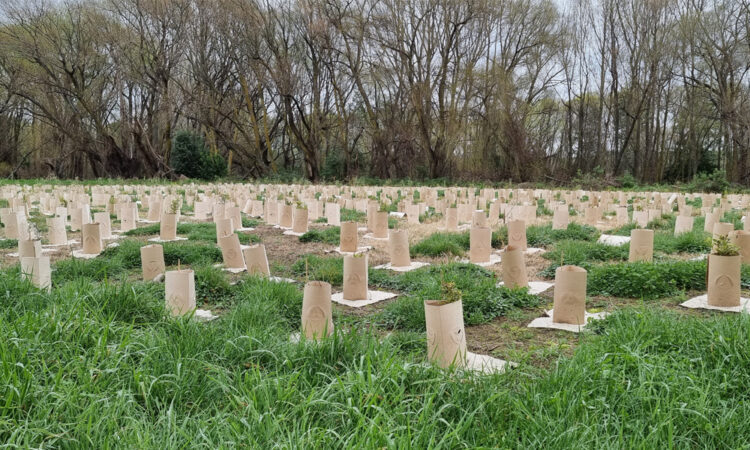 Plant Guards_Main Image