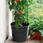 1-TT12_Tomato Tower 12 Litre_4