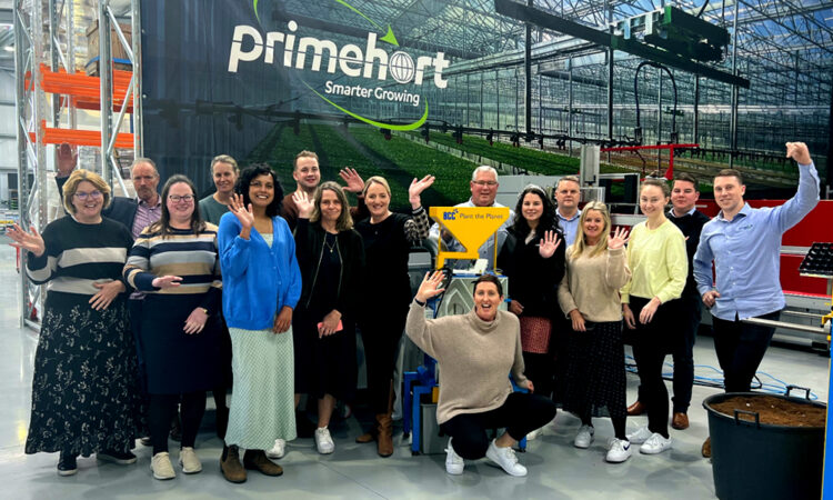 What lies beneath_Main Image