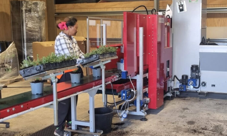 It’s a Machine! Best NZ Potting Machine.