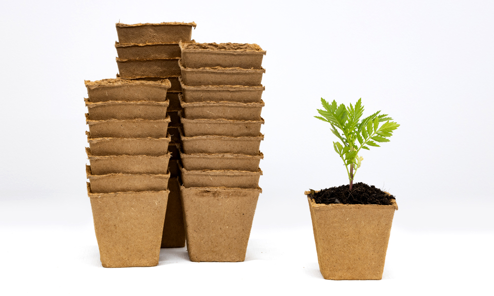 Eco Fibre Pots for Greener Gardens_Main Image_2
