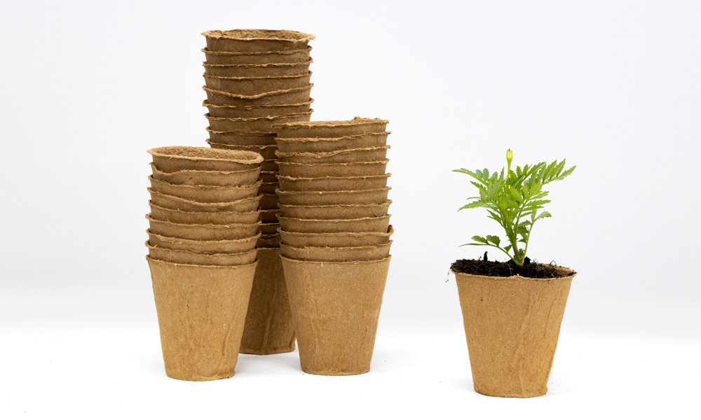 Eco Fibre Pots for Greener Gardens_Main Image_3