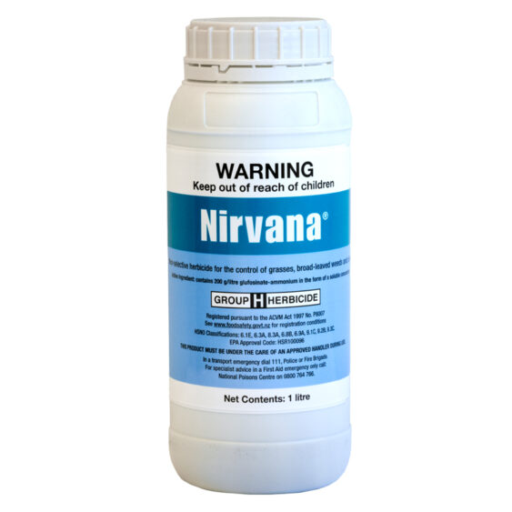 Nirvana  (Buster/Bash/Fiestar)