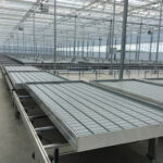 Rolling Benching Systems