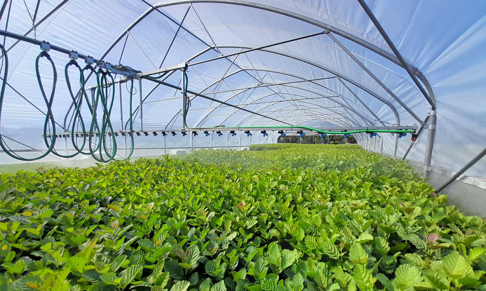 Irrigation systems to maximise crop yield_1