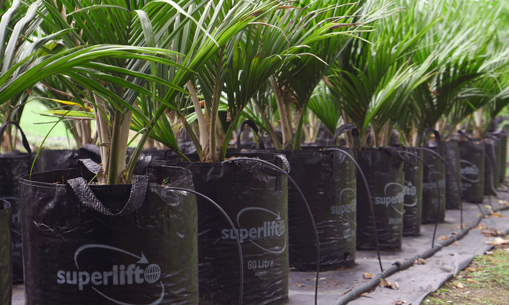 Irrigation systems to maximise crop yield_2