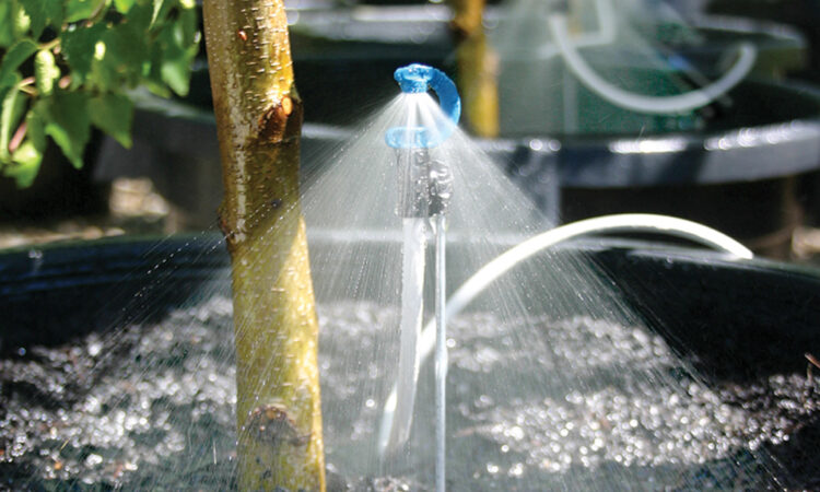 Irrigation systems to maximise crop yield_3