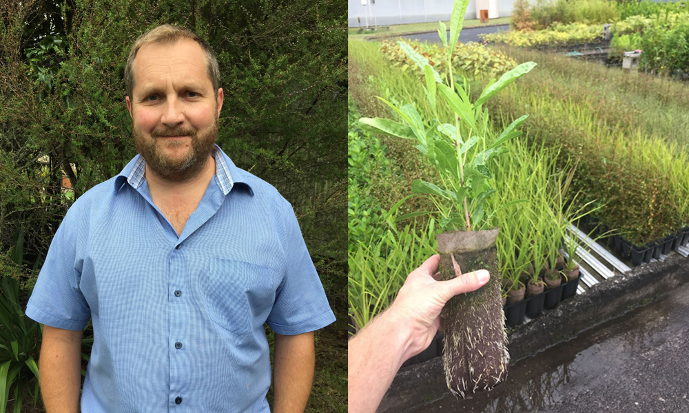 PrimeHort Website Blog_NZ Forestry Industry Insights_3